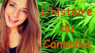 L'histoire du Cannabis