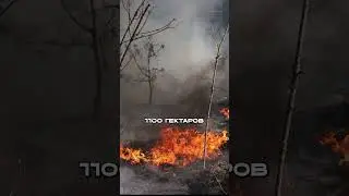 CHERNOBYL Is Burning: Smoke Heading Toward Russia