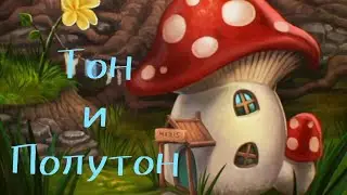 Строим Тон 🏠  и Полутон 🍄