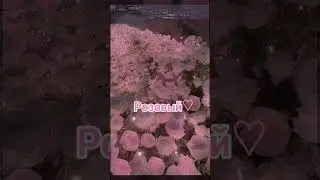 Все цвета прекрасные ИДЕЯ НЕ МОЯ #video #roblox #шортс #роблокс #актив