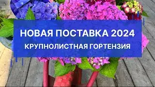 5 марта 2024 г.