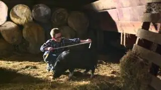 3 When Pigs Fly   Doritos Crash the Super Bowl 2015 WINNER OFFICAL
