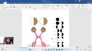 Adding resources and activities on Moodle, LMS
