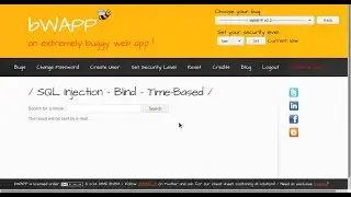 SQL Injection   Blind   Time Based