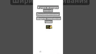 6 августа 2024 г.
