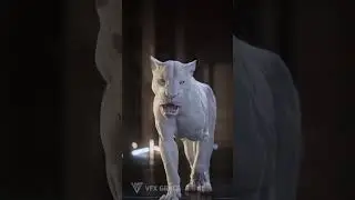 Lion VFX Breakdowns | VFX Grace 