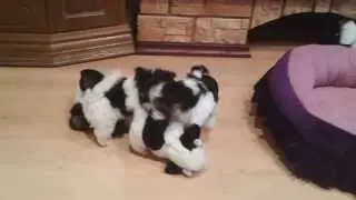 20130918 123252