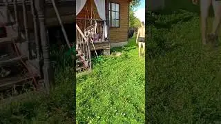 дачная история