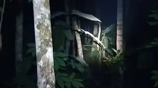 Here's the Haunted Gess Live Midnight
