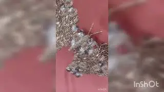 🆕🆕🆕🆕 STITCHED COLLECTION FOR DAILY UPDATES SUBSCRIBE MY CHANNEL #shortvideo