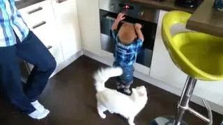 Кошка не позволяет ребенку открыть горячую печь