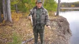 Осень
