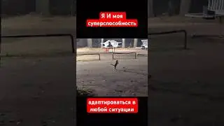 Котики 🐈 Я и моя способность адаптироваться в любой ситуации #юмор #cat #funnypets #приколыскотами
