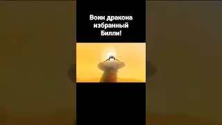 Кунг-фу Папич 