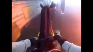 Exposing Horses to Signal Flares
