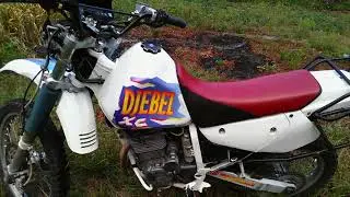 Suzuki Djebel 250