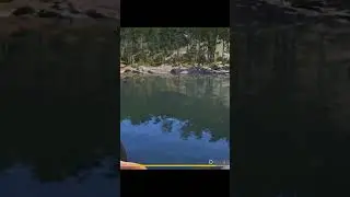 😱Вот это акула! 