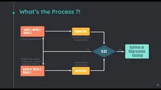 Functional Testing Process & Overview