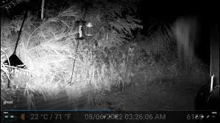spirit in the night?  Ghost captured on video?