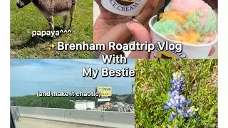 Brenham Road Trip Vlog *it’s chaotic*