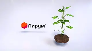 ЛИРУМ® — эффективная борьба с белокрылкой и с другими вредителями томата, огурца и яблони!