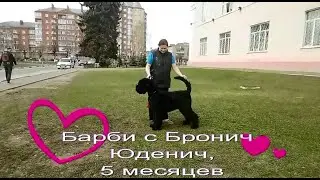 БсБ Юденич занятия в 5 месяцев