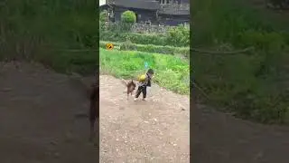 qee