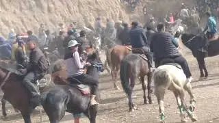 Qoʻqon Anosh polvon Zomin oqtoshda olqishga sazovar malades Anosh