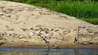 The neighbors sailed away. They left their fishing rods unattended.