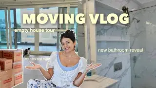MOVING VLOG * Life update, organizing, my cat's first flight ✈️ + more