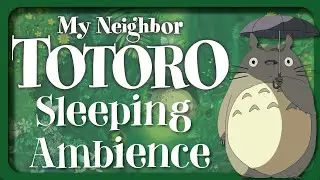 Totoro Sleeping Ambience with Gentle Music | Breathing | 1 hr | Sleep Aid