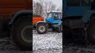 Уборка сахарной свёклы 2023. ХТЗ взял на буксир Камаз 