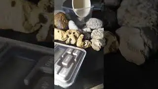 глист МакЗеБай 