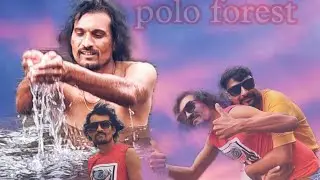PolOa foars
