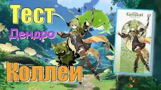 Тест - Коллеи * Genshin Impact PS4