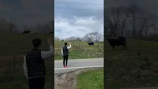 Exploring the Ohio Countryside