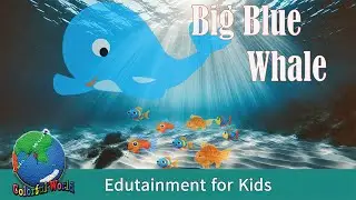 Big Blue Whale or Biggest Animal (Lyrics)