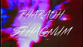 PHARAOH — Сфагнум