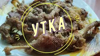 Тушеная утка в собственном соку. Очень нежная, сочная и очень вкусная.