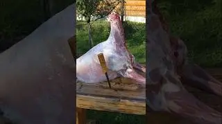 Полное видео на канале