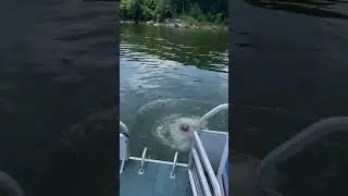 Pontoon Boating  On TableRock Lake 2023