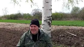 Дела весенние .