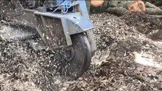 Best Way to remove Tree Stump ? Meet The Beast!