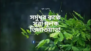 সমুধূর কন্ঠে সূরা মূলক তিলাওয়াত!