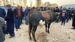 ФРУНЗА КАХРАМОН МОЛИ ФАРБЕХ ЧАНСУМ САВДО ШУД БИНЕД И ДЕХКОН БОЗОР 6 ноября 2021