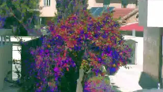Bosch AutoDome 800HD (PTZ Camera) - CMOS Sensor Distortion and Color Artifacts Problem