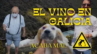 Me EMBORRACHO  viajando por Galicia. VINOS GALLEGOS.