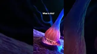 Synapse and neuron cells sending electrical chemical signals #scitech #scienceandtechnology