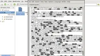 Linux Ransomeware Tutorial - How to do it
