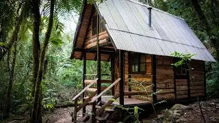 TIMELAPSE: Cabin construction in the jungle using only basic tools!